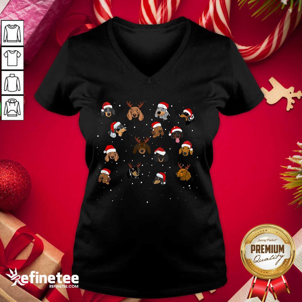 Nice Dogs Santa Merry Christmas Shirt