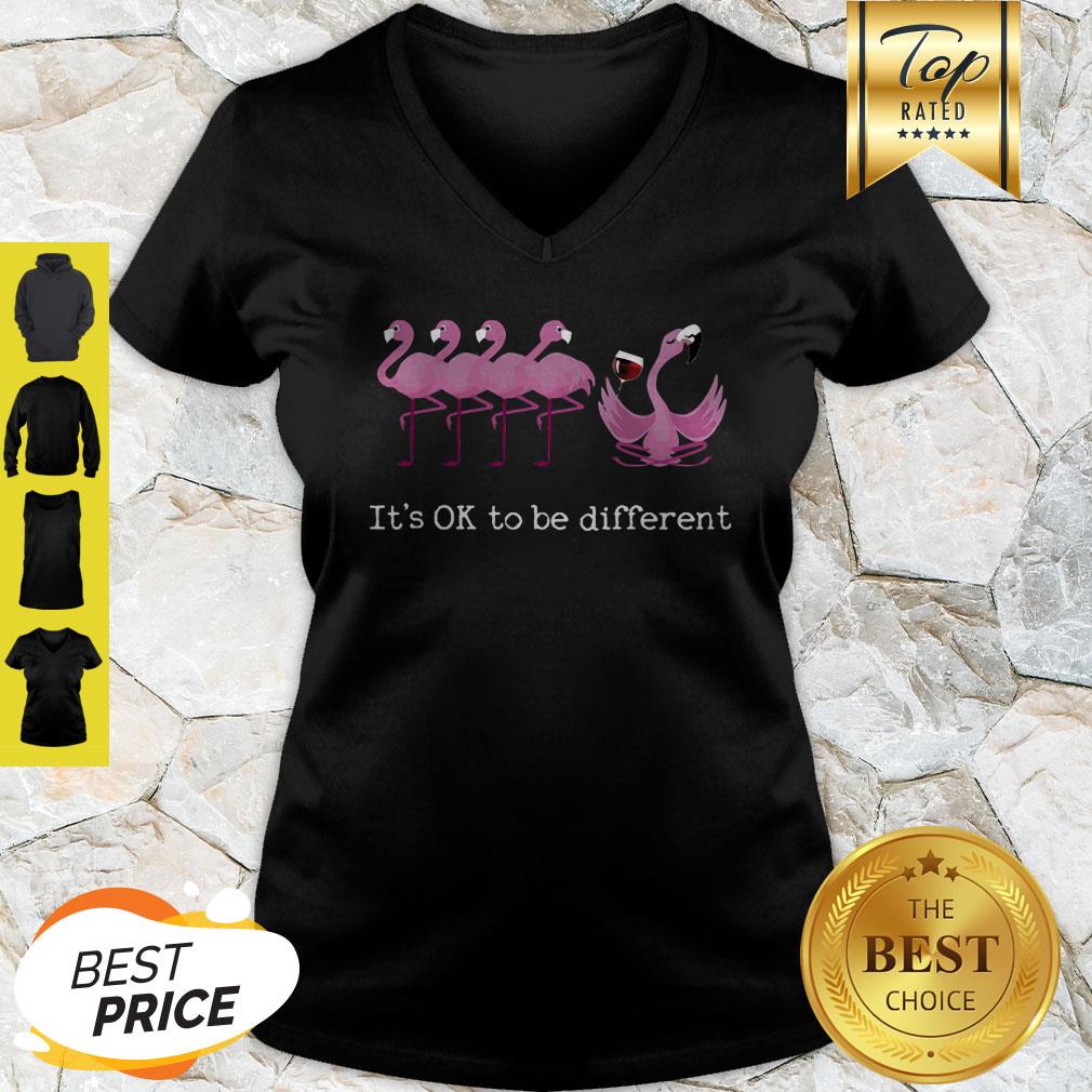 Nice Flamingo It’s Ok To Be Different Shirt