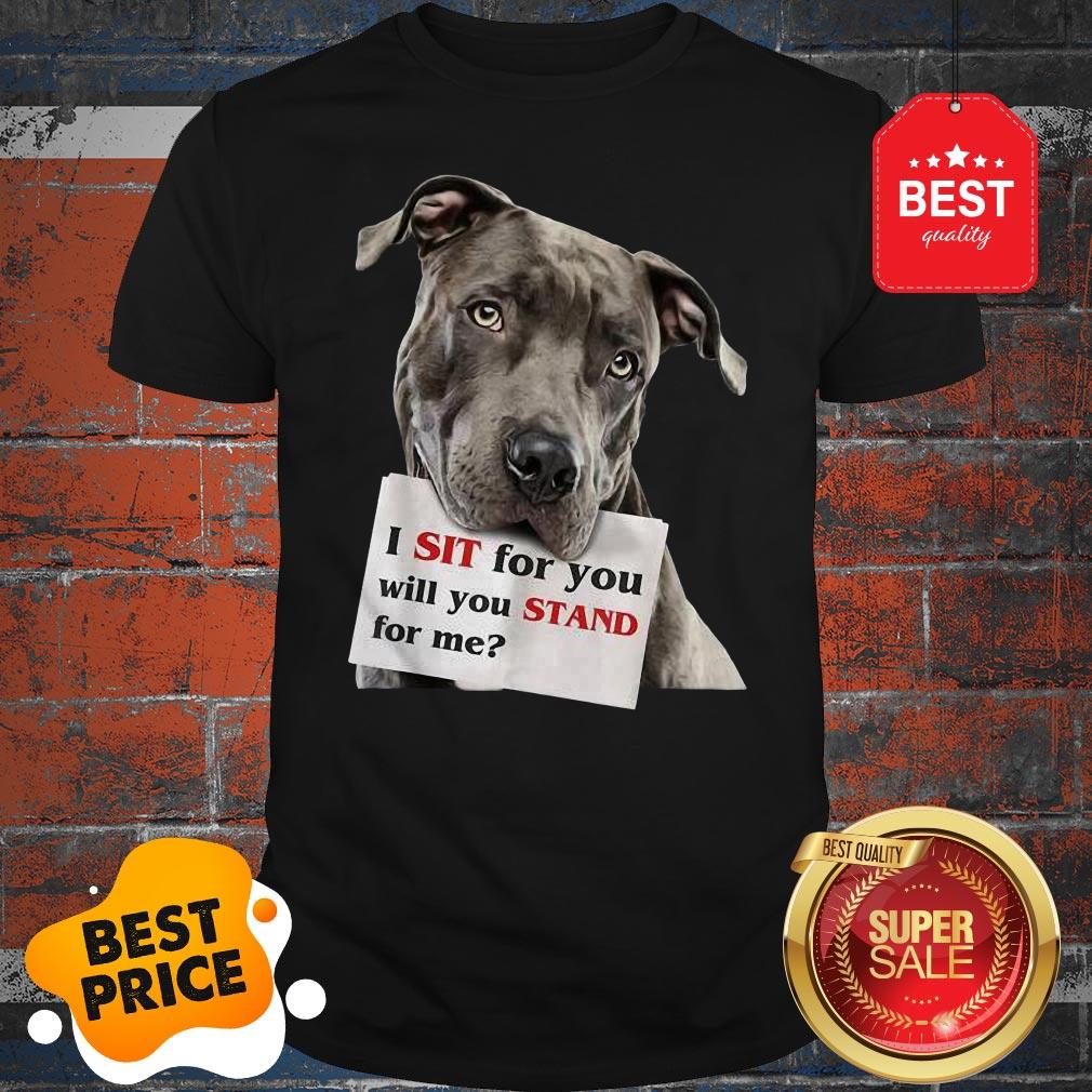 Official I Sit For You Will You Stand For Me Pitbull Dog Lovers Shirt