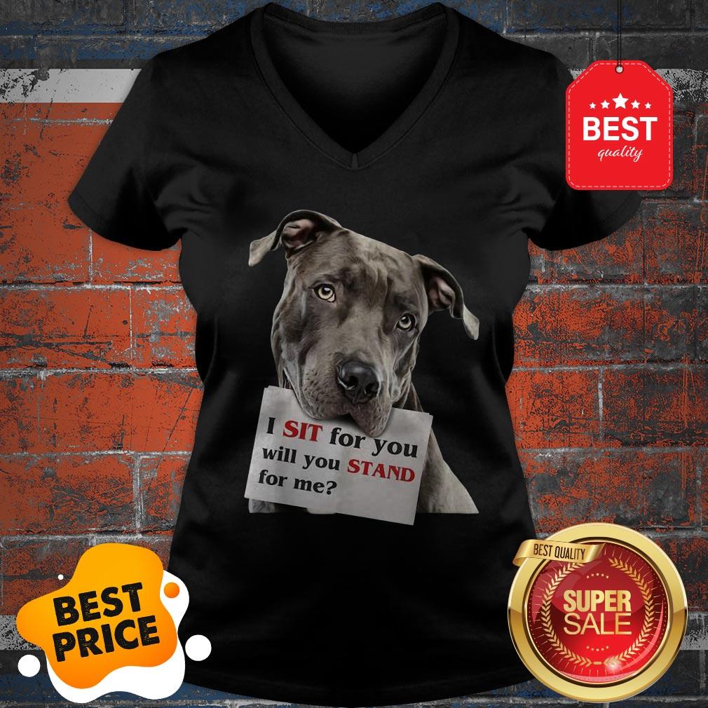 Official I Sit For You Will You Stand For Me Pitbull Dog Lovers Shirt