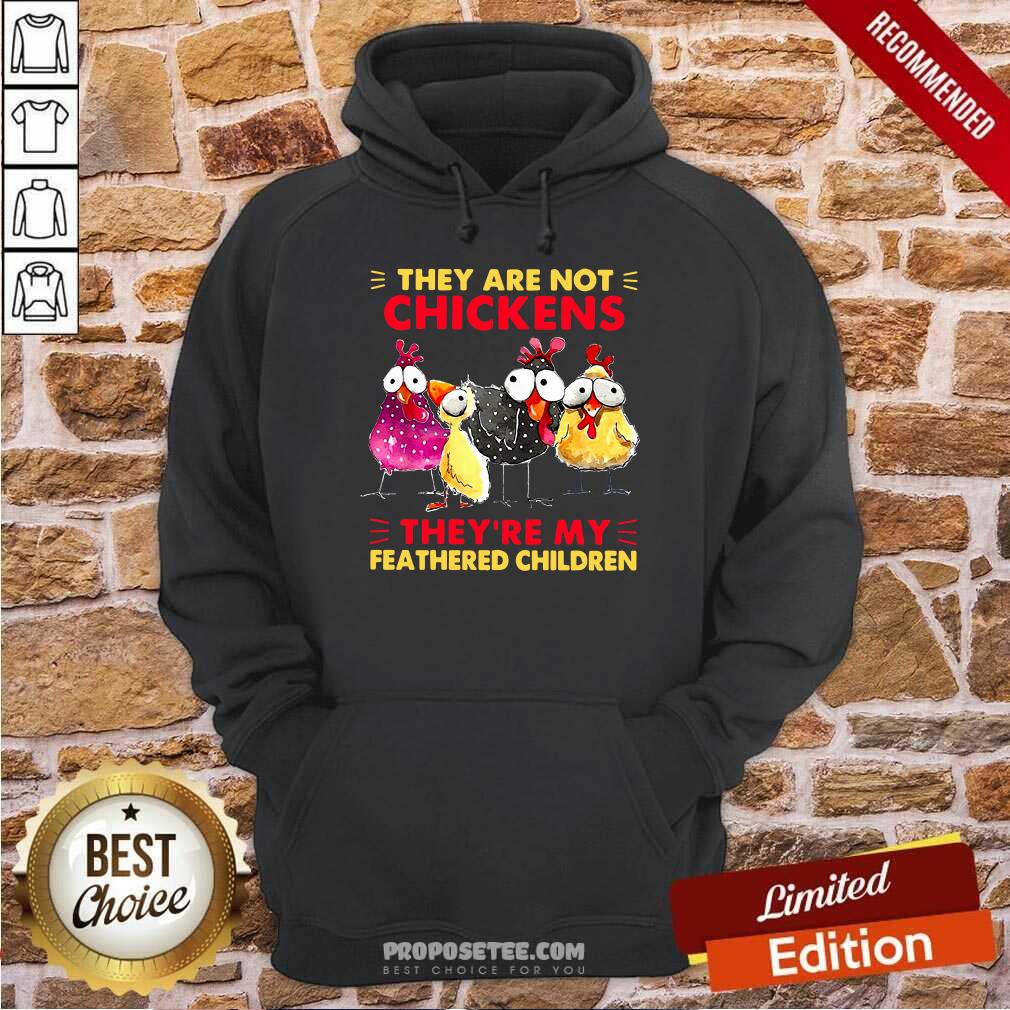 original-they-are-not-chickens-theyre-my-feathered-children-sweater-hoodie.jpg
