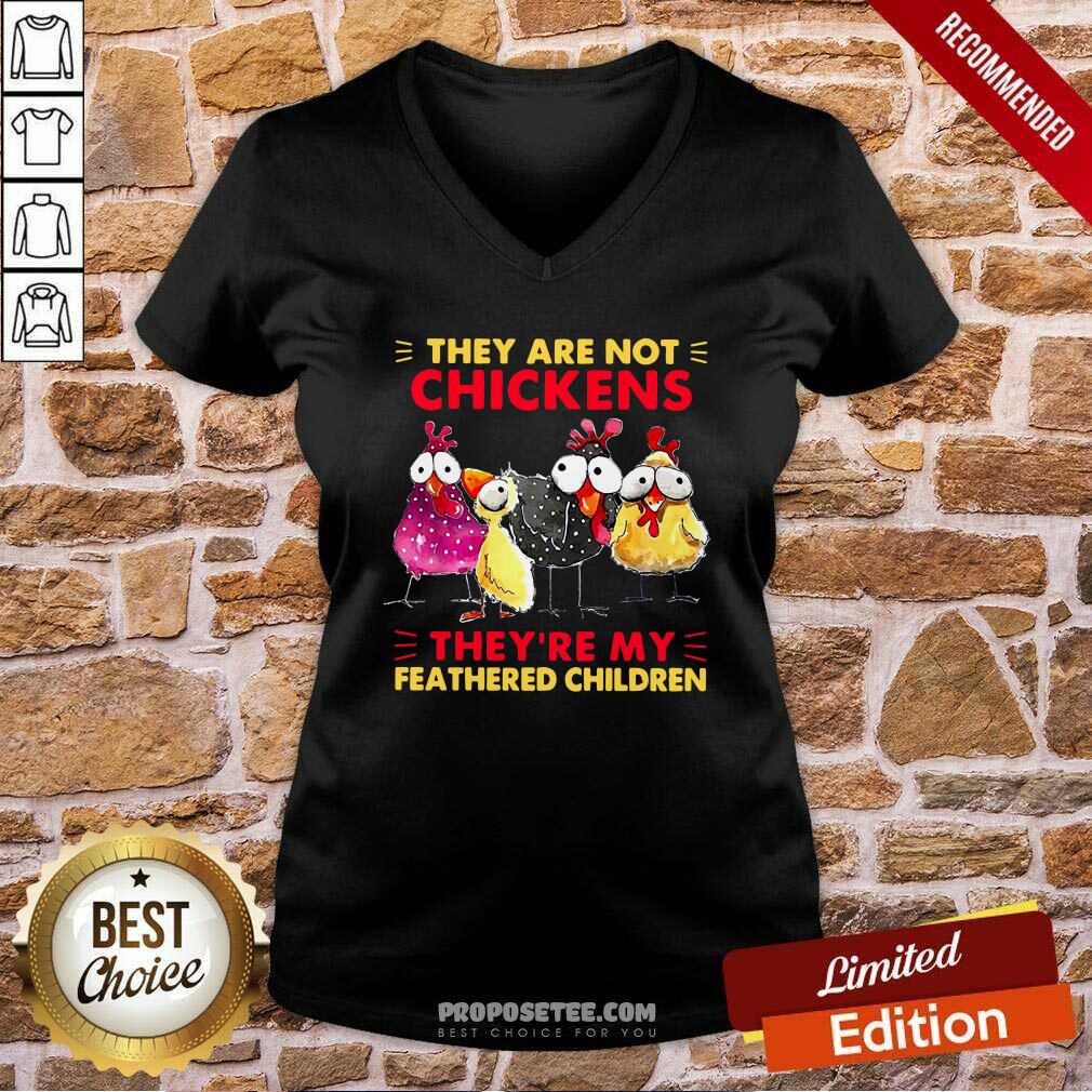 original-they-are-not-chickens-theyre-my-feathered-children-sweater-v-neck.jpg