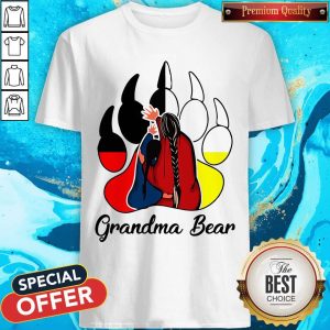 Pro Mama Bear Native American Bear Paw Medicine Wheel Shirt