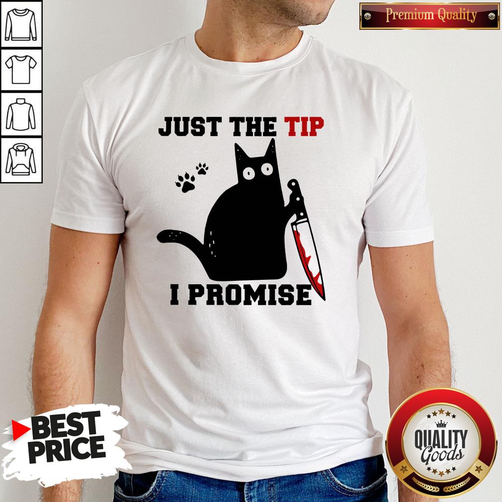 Perfect Black Cat Just The Tip I Promise Shirt