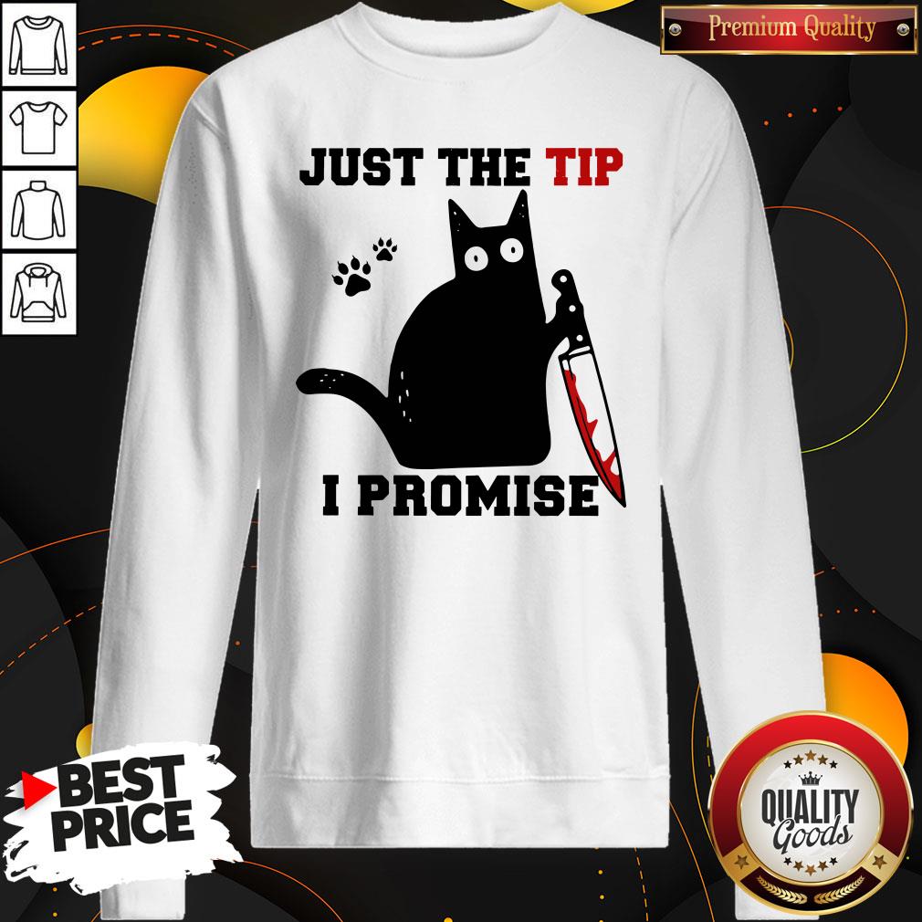 Perfect Black Cat Just The Tip I Promise Shirt