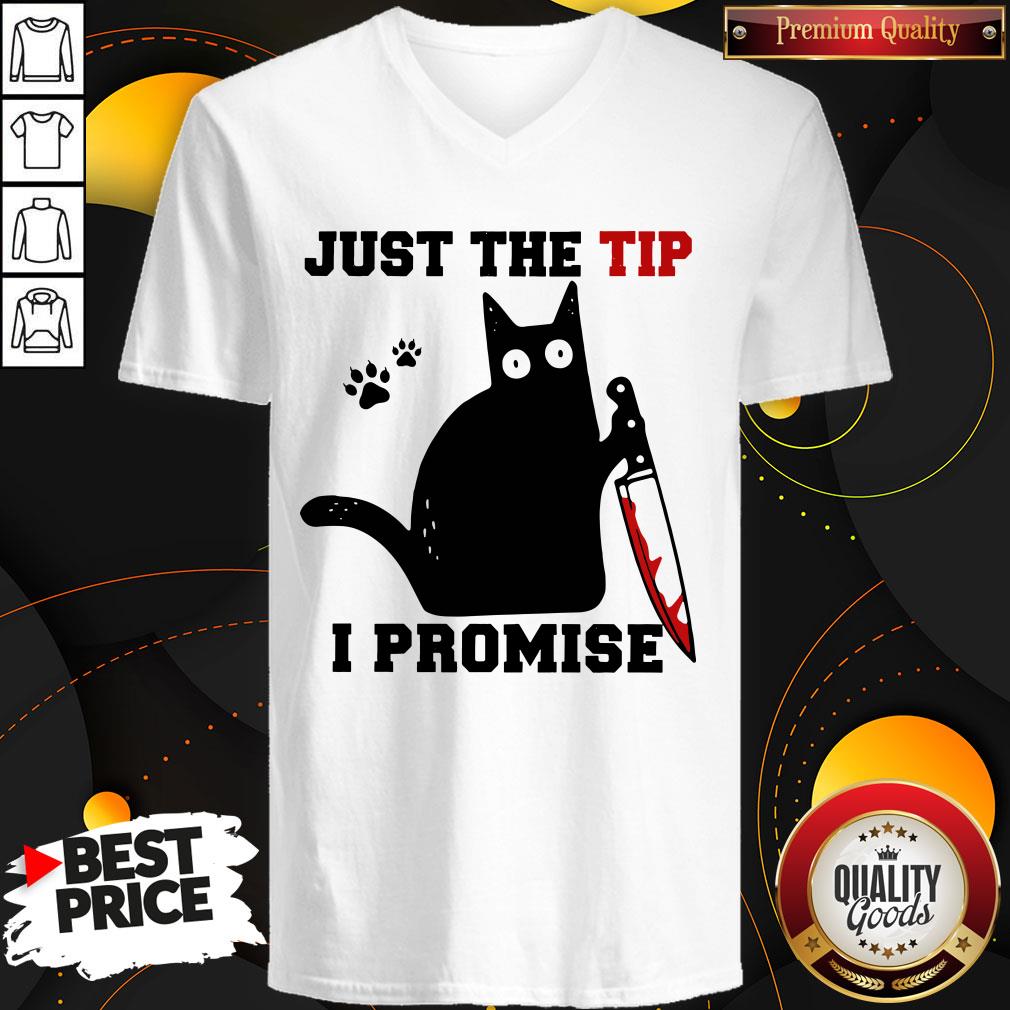 Perfect Black Cat Just The Tip I Promise Shirt