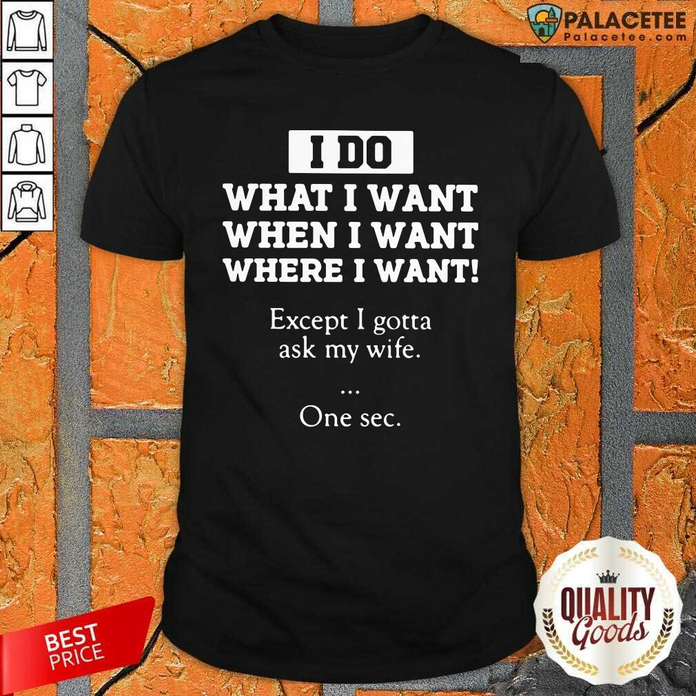 Perfect I Do What I Want Except I Gotta Ask My Wife One Sec Shirt