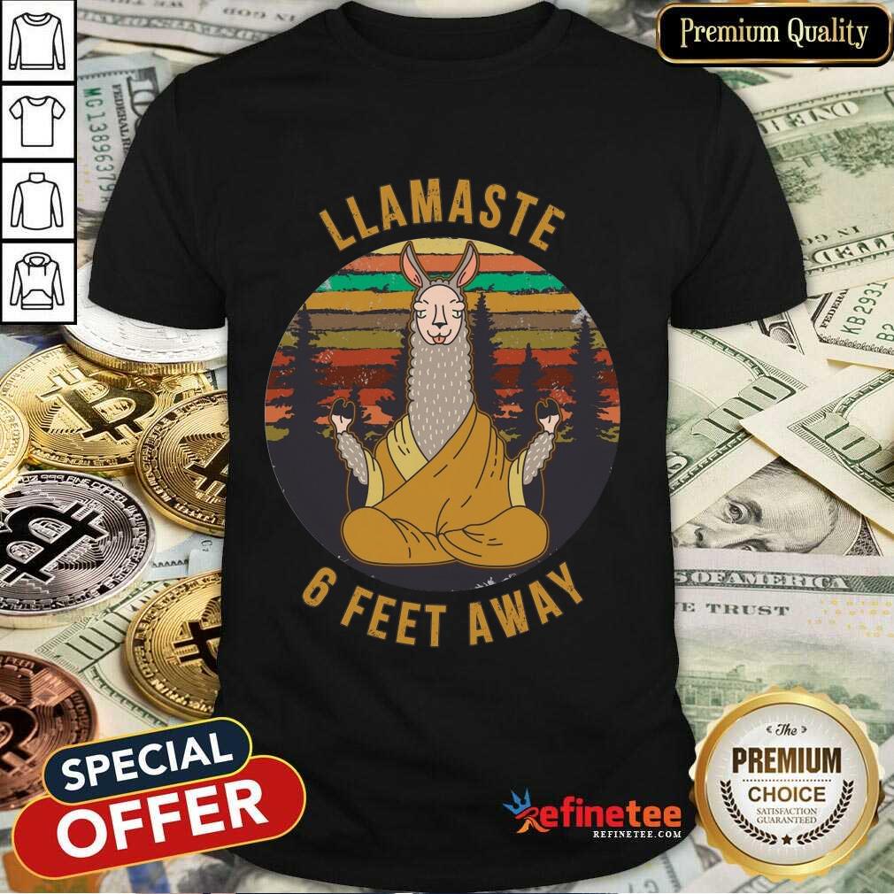 Perfect Llamaste 6 Feet Away Vintage Shirt