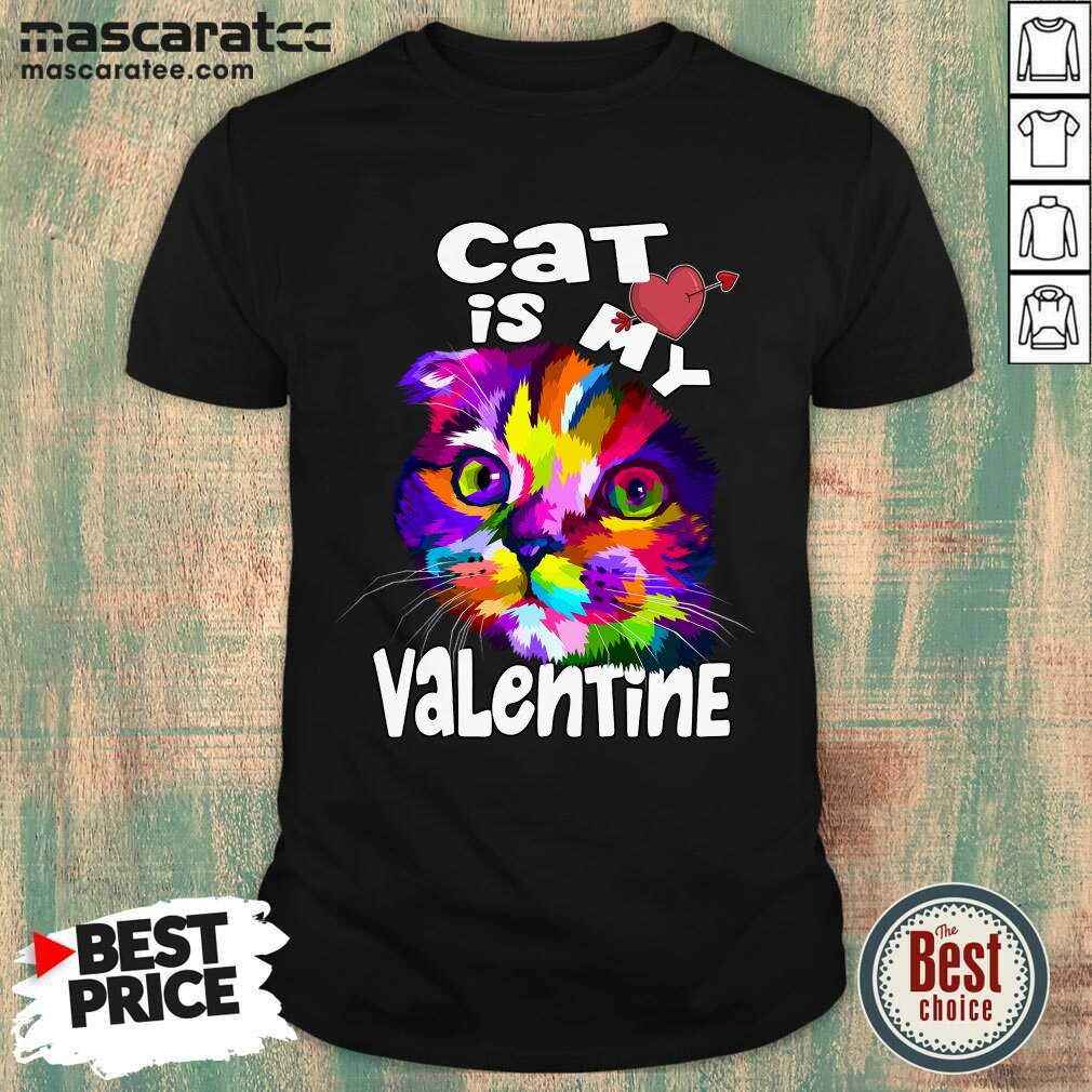 Premium My Cat Is My Valentine Kitten Lover Valentine's Day 2021 Gif Shirt