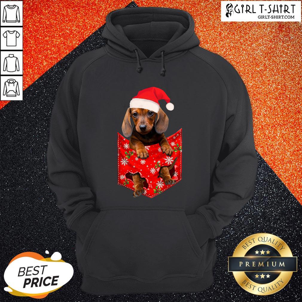 Premium Santa Daschund Merry Christmas Shirt