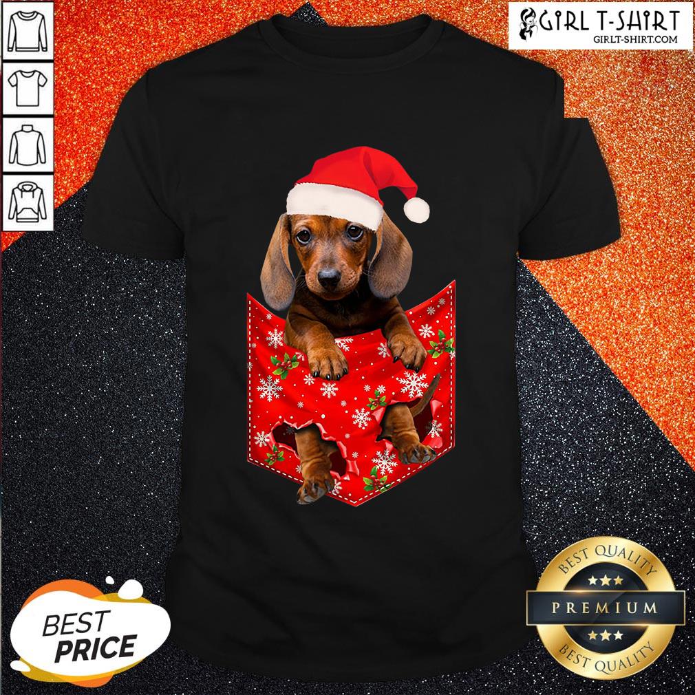 Premium Santa Daschund Merry Christmas Shirt
