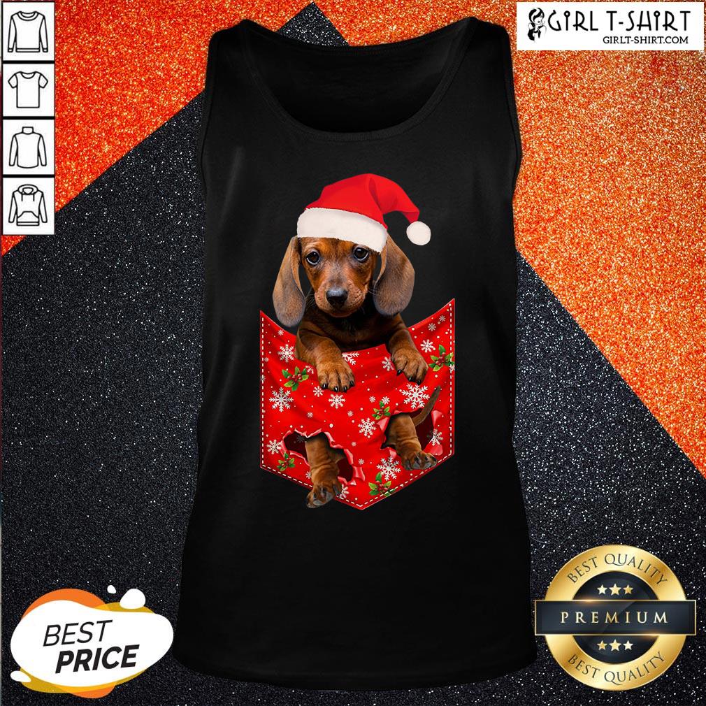 Premium Santa Daschund Merry Christmas Shirt