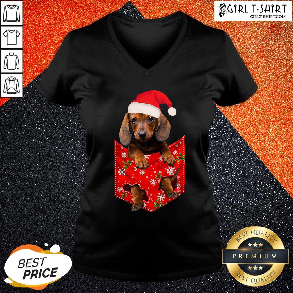 Premium Santa Daschund Merry Christmas Shirt