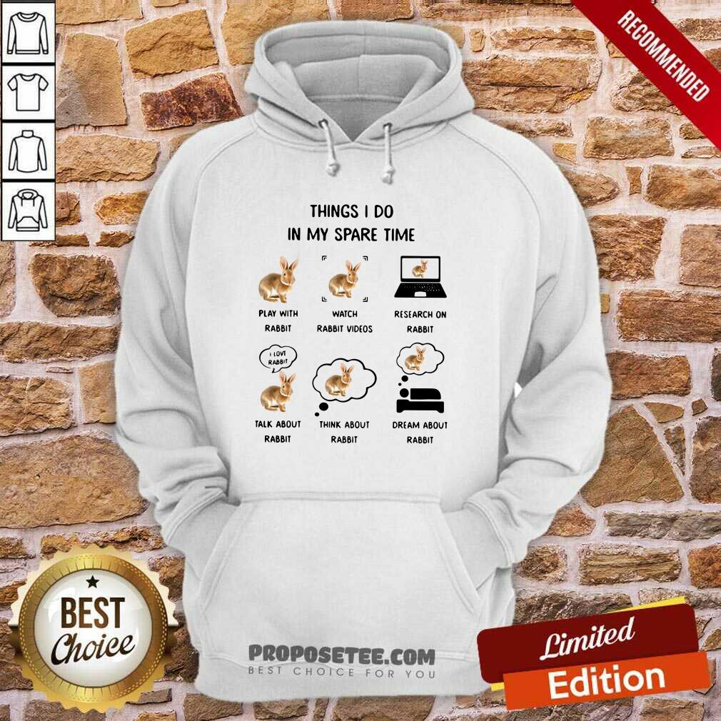 premium-things-i-do-in-my-spare-time-play-with-rabbit-watch-rabbit-videos-research-on-rabbit-hoodie.jpg