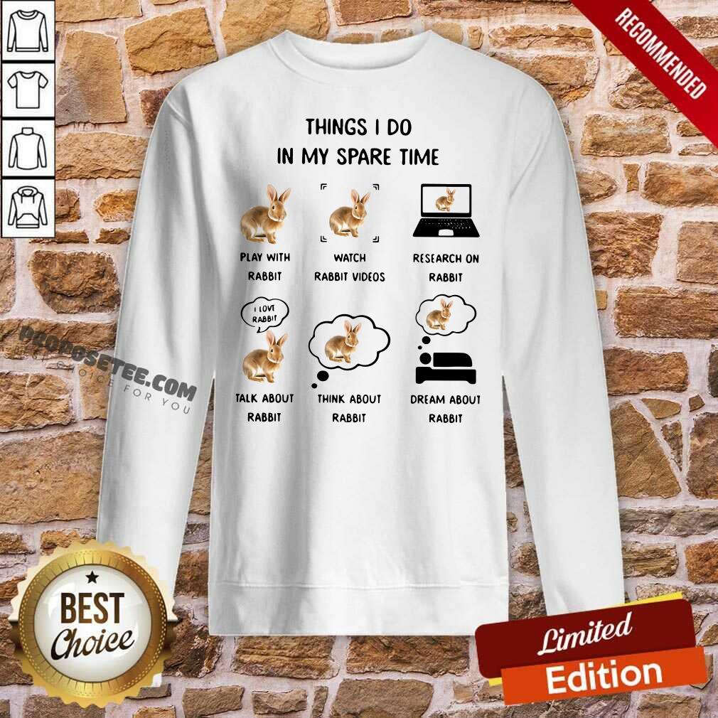 premium-things-i-do-in-my-spare-time-play-with-rabbit-watch-rabbit-videos-research-on-rabbit-sweatshirt.jpg