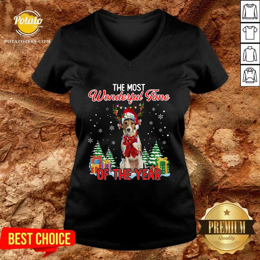 Premium Wire Fox Terrier The Most Wonderful Time Of The Year Christmas Shirt