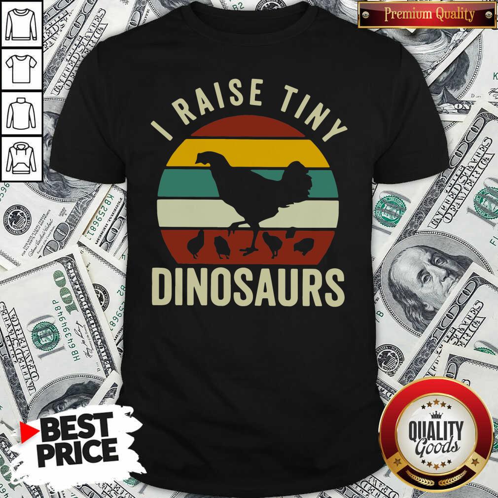 Pretty Chickens I Raise Tiny Dinosaurs Vintage Retro Shirt