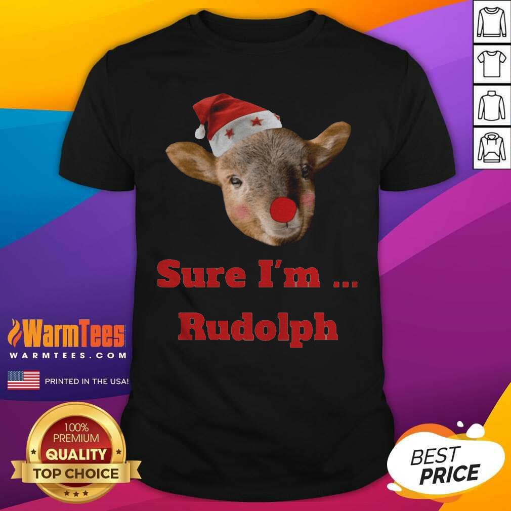 Pretty Christmas Goat Funny Shirt