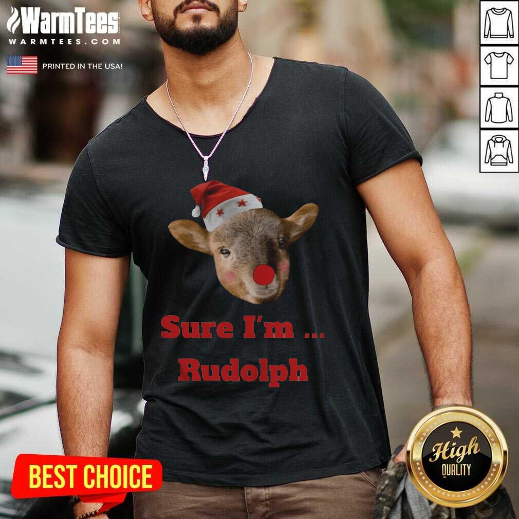 Pretty Christmas Goat Funny Shirt