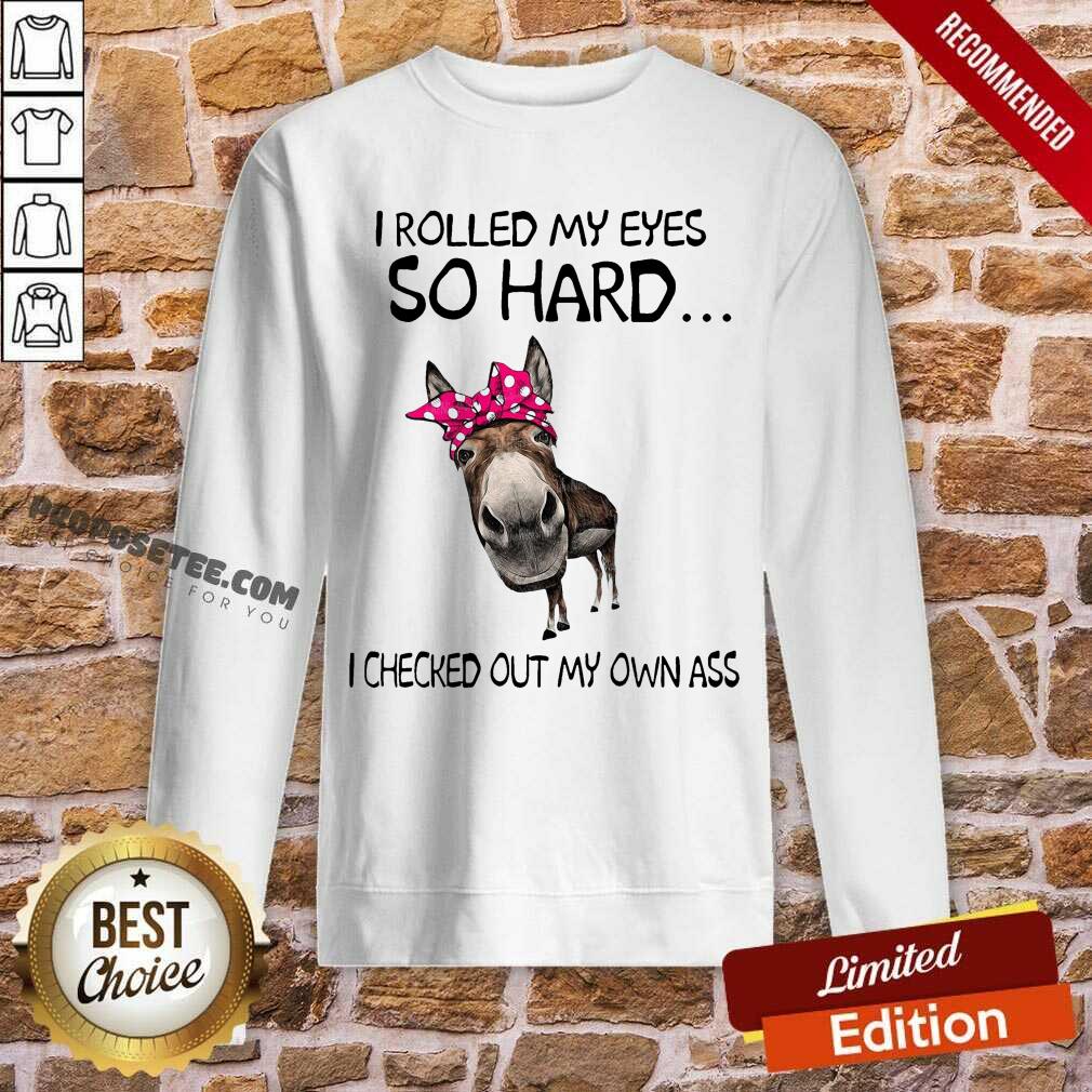 Pretty I Rolled My Eyes So Hard I Checked Out My Own Ass Donkey Shirt
