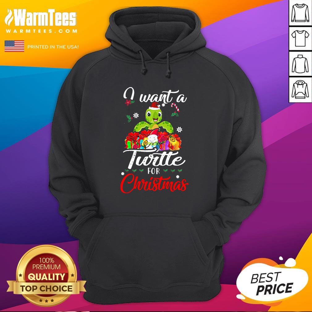Pretty I Want A Turtle For Christmas Shirt