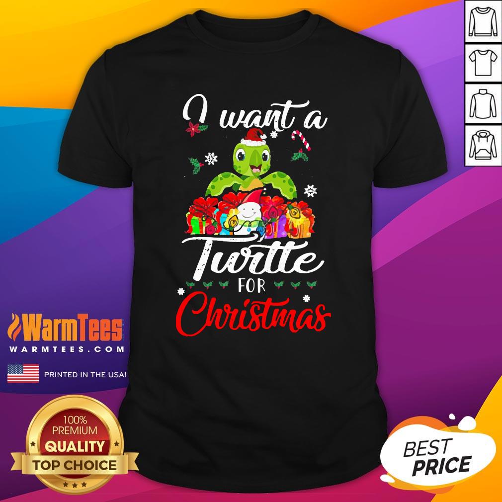 Pretty I Want A Turtle For Christmas Shirt