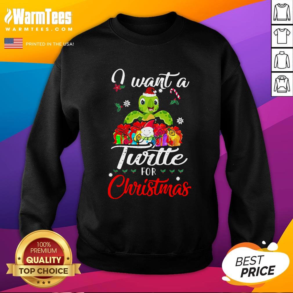 Pretty I Want A Turtle For Christmas Shirt
