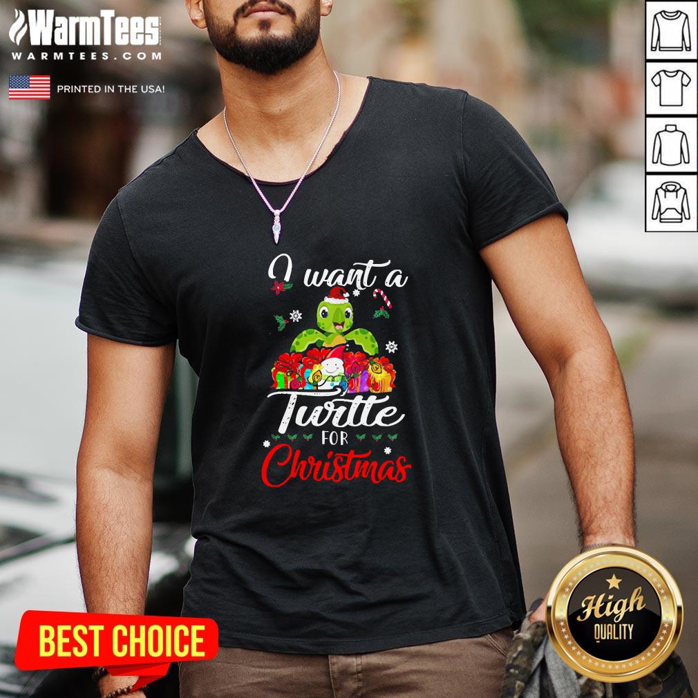 Pretty I Want A Turtle For Christmas Shirt