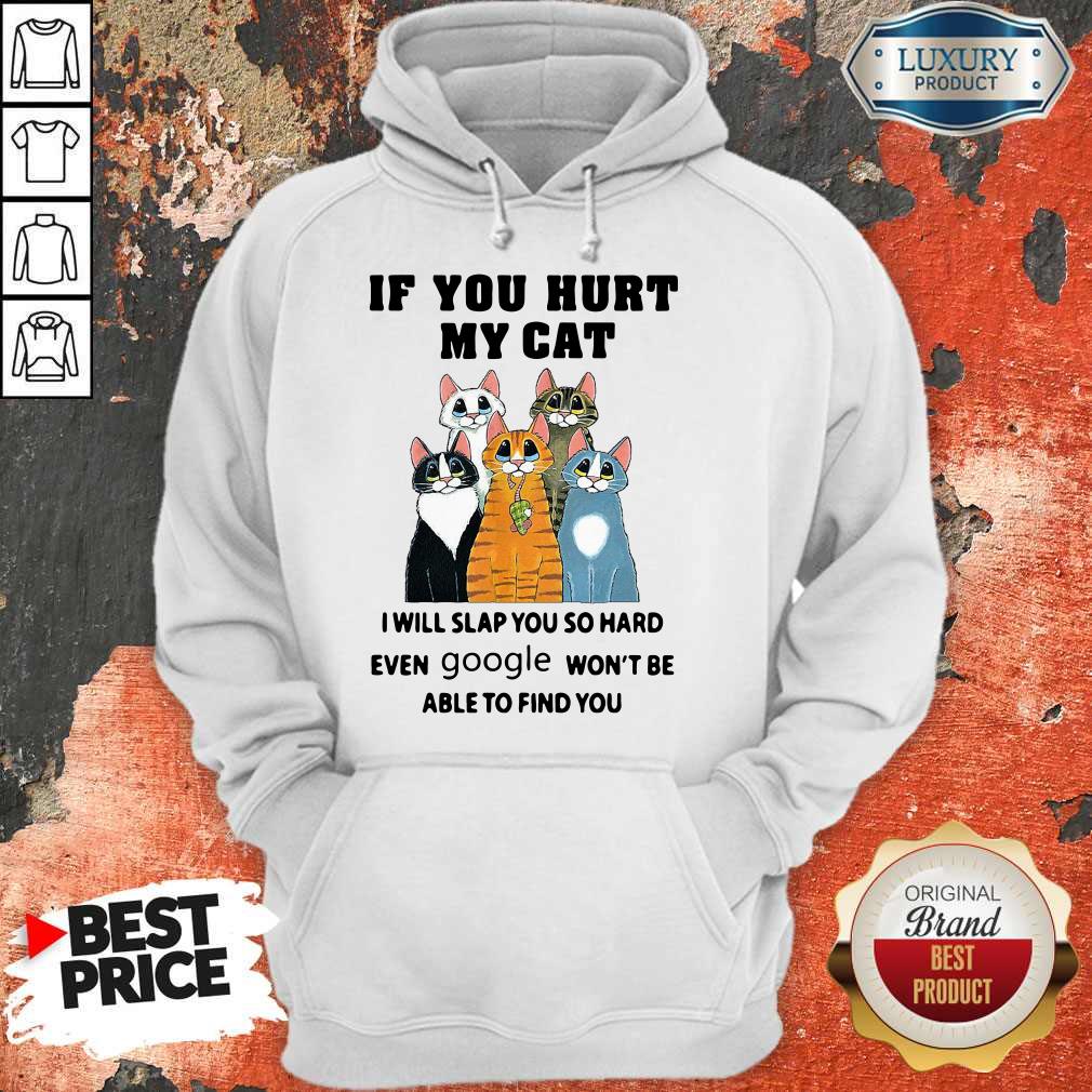 pretty-if-you-hurt-my-cat-i-will-slap-you-so-hard-even-google-wont-be-able-to-find-you-hoodie.jpg
