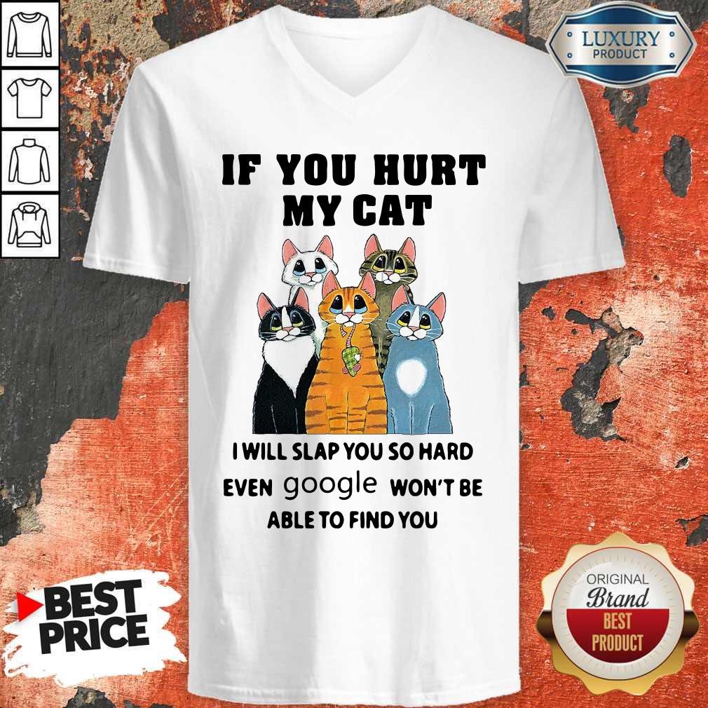 pretty-if-you-hurt-my-cat-i-will-slap-you-so-hard-even-google-wont-be-able-to-find-you-v-neck.jpg