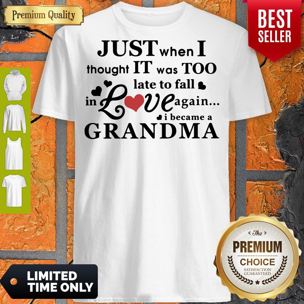 pretty-just-when-i-thought-it-was-too-late-to-fall-in-love-again-i-became-a-grandma-shirt.jpg