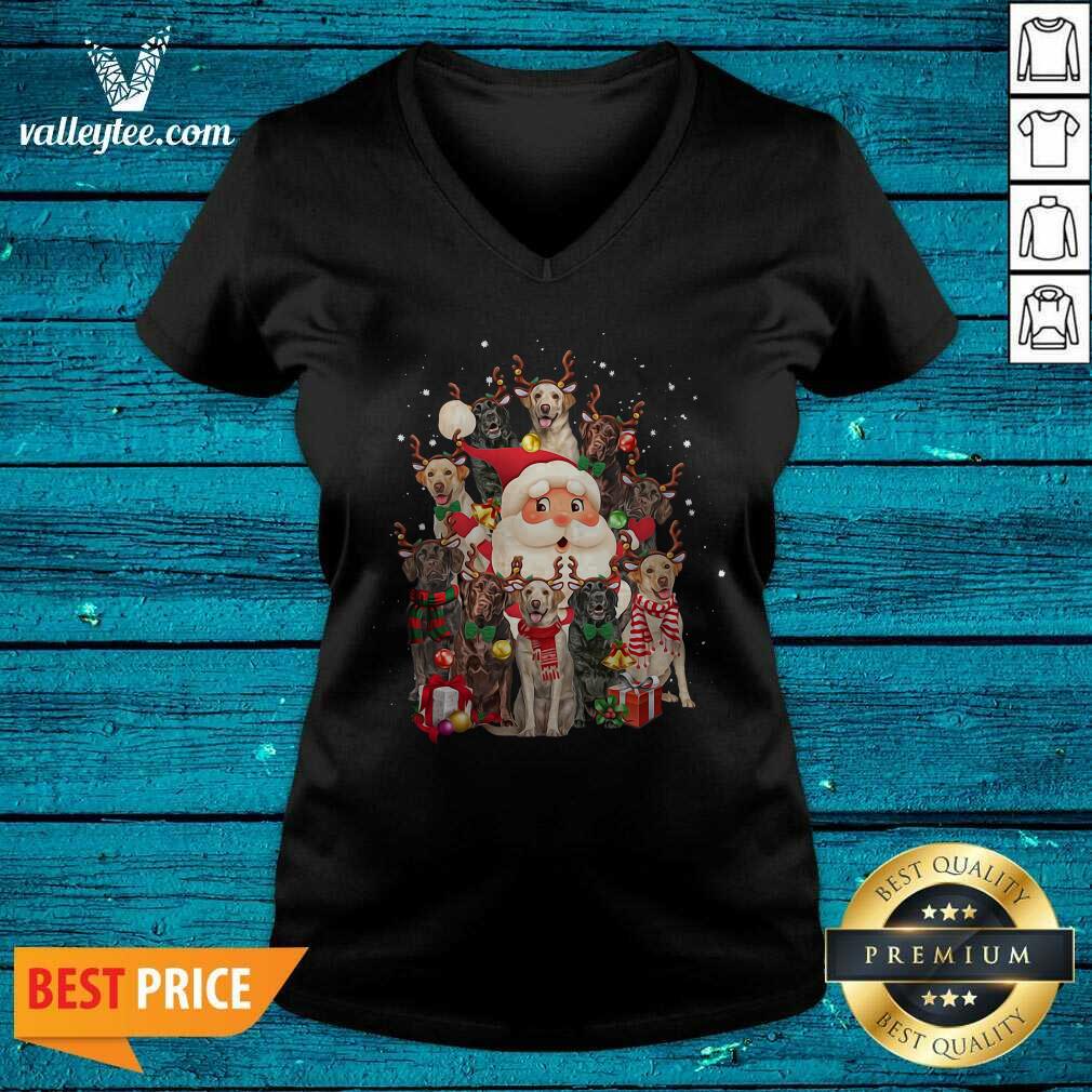 Pretty Merry Christmas Santa Claus Labrador Retriever Dogs Shirt