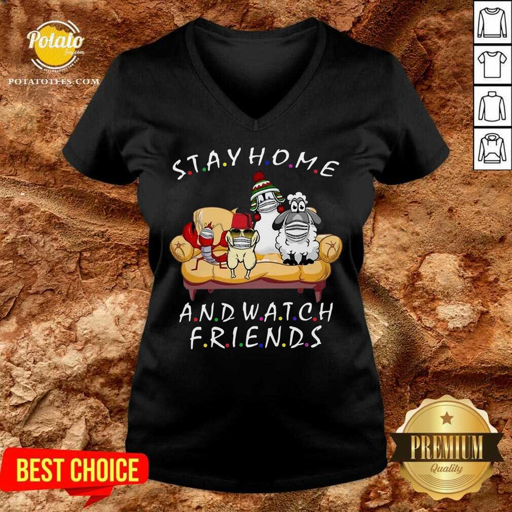 Pretty Pets Stay Home And Watch Friends Cartoon COVID-19 Shirt