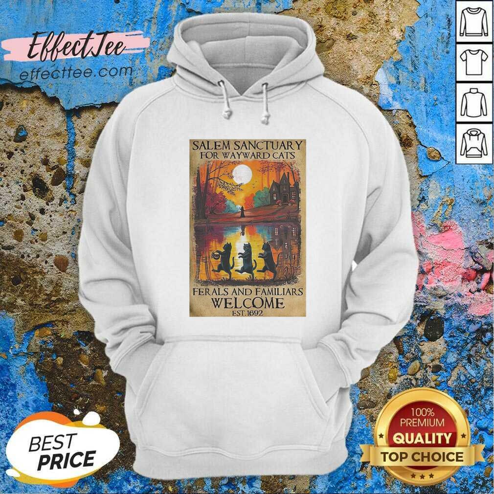 pretty-salem-sanctuary-for-wayward-cats-ferals-and-familiars-welcome-est-1692-hoodie.jpg