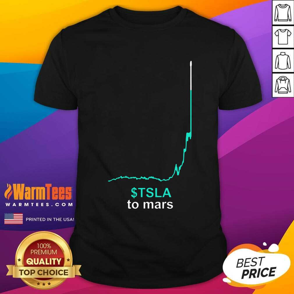 Pretty Tsla To Mars The Money Problem Shirt