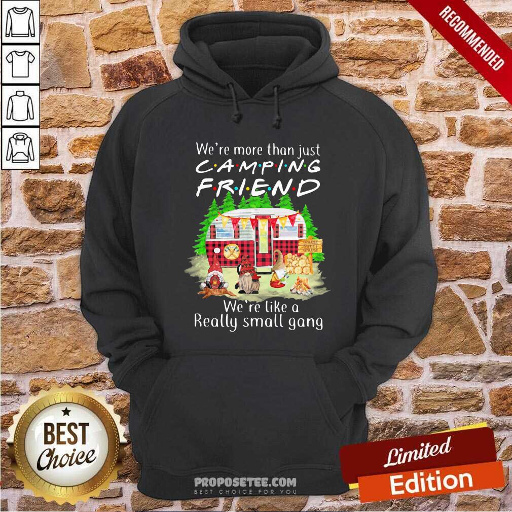 pretty-were-more-than-just-camping-friend-were-like-a-really-small-gang-gnome-xmas-hoodie.jpg