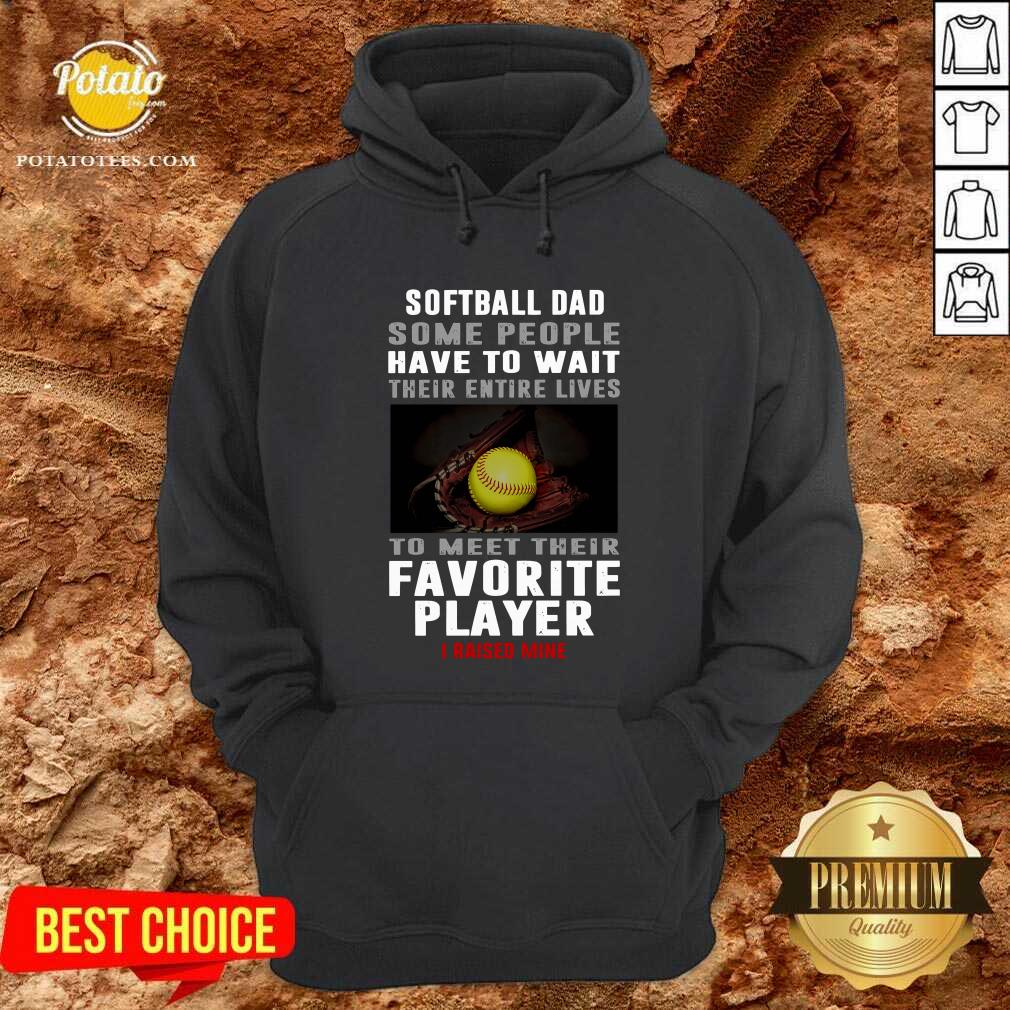 softball-dad-some-people-have-to-wait-their-entire-lives-to-meet-theirhoodie.jpg