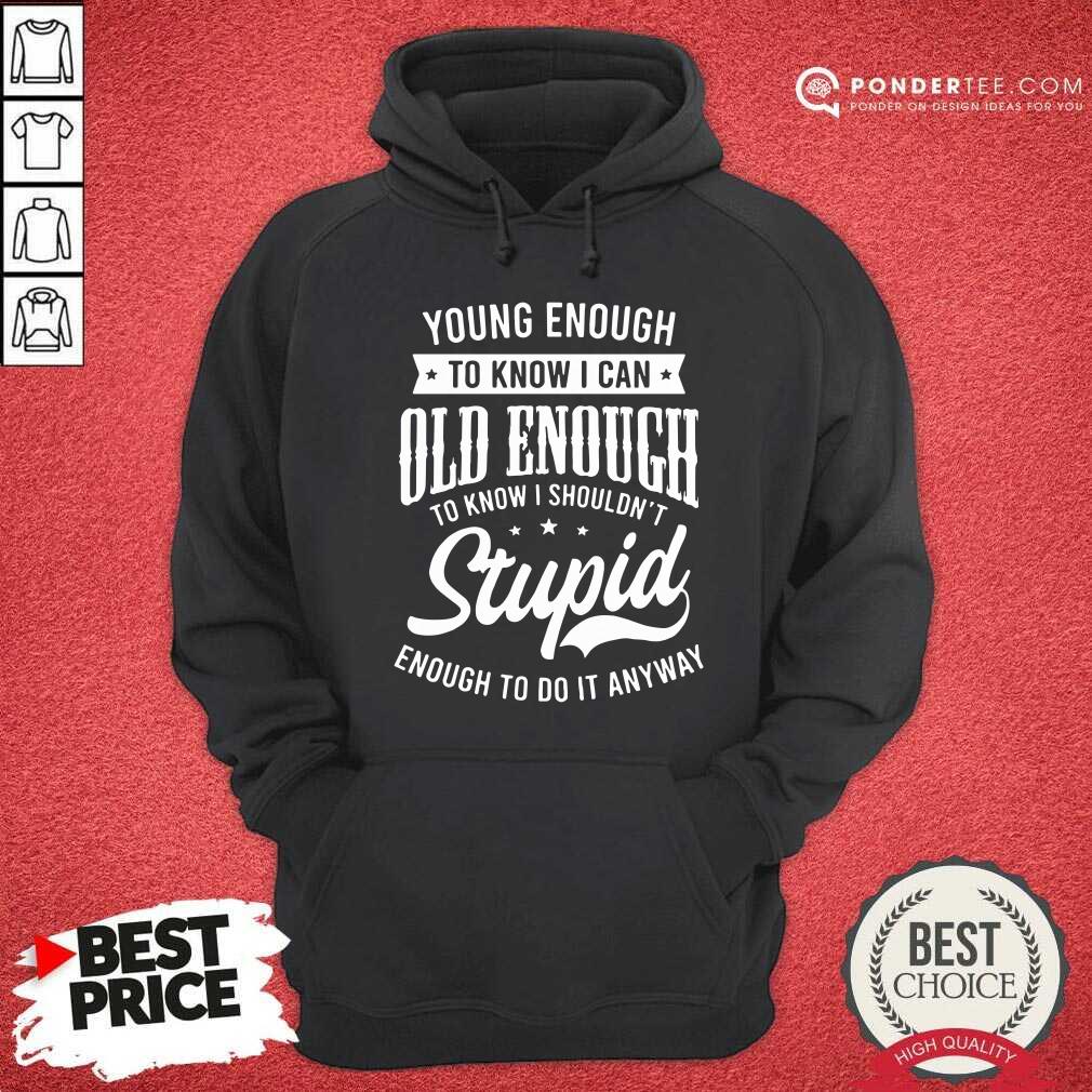 Stupid Enough To Do It Anyway Shirt