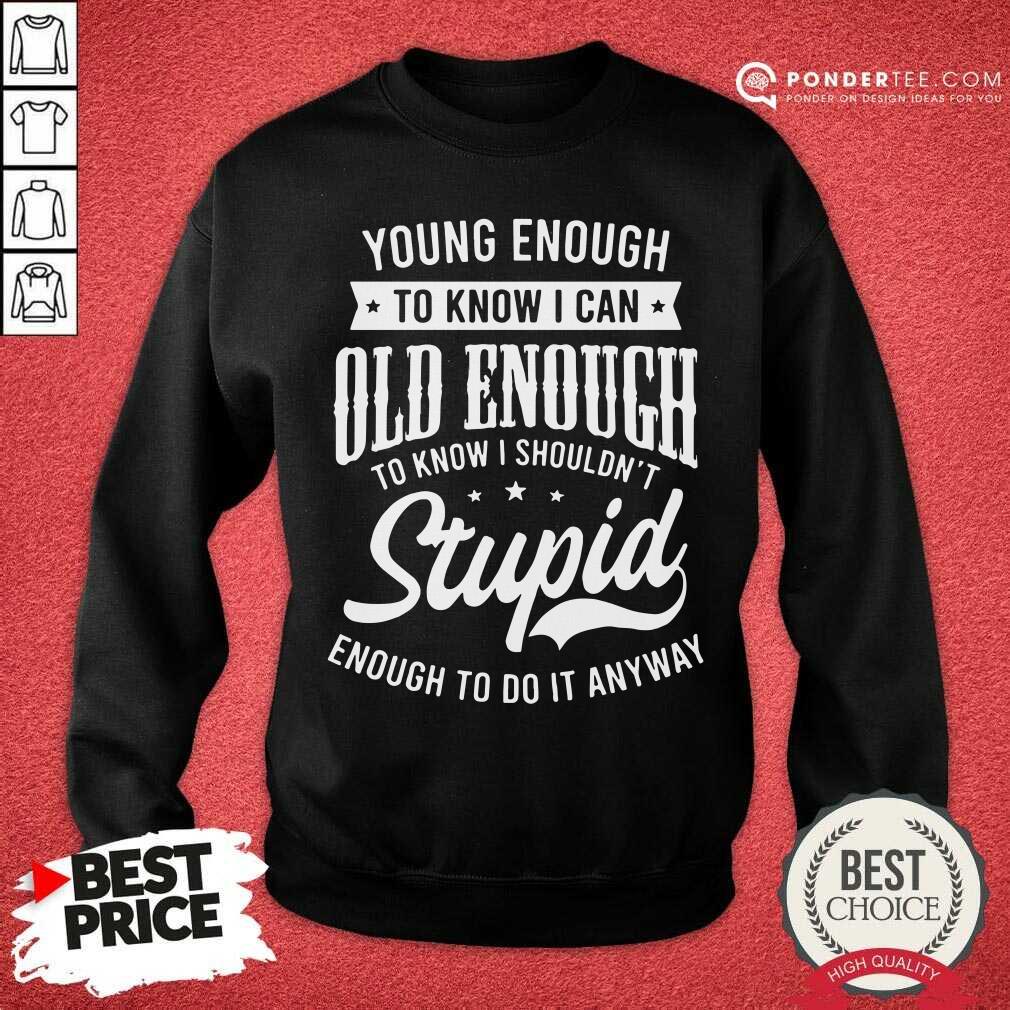 Stupid Enough To Do It Anyway Shirt