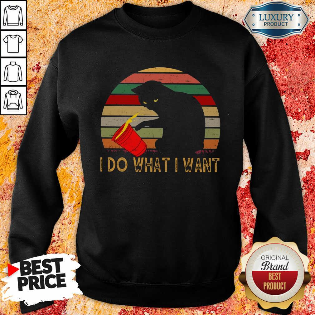 Sunset Cat I Do What I Want Vintage Shirt
