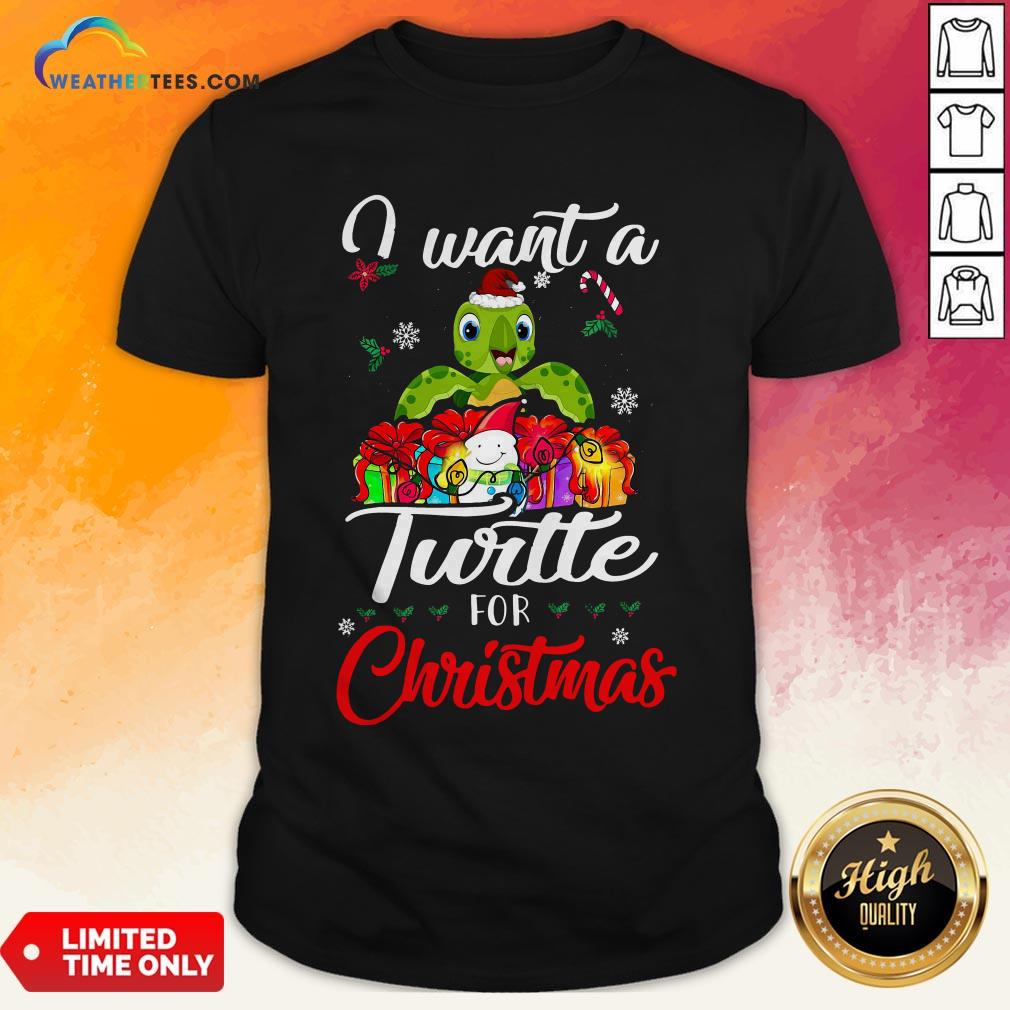 Tech I Want A Turtle For Christmas Shirt