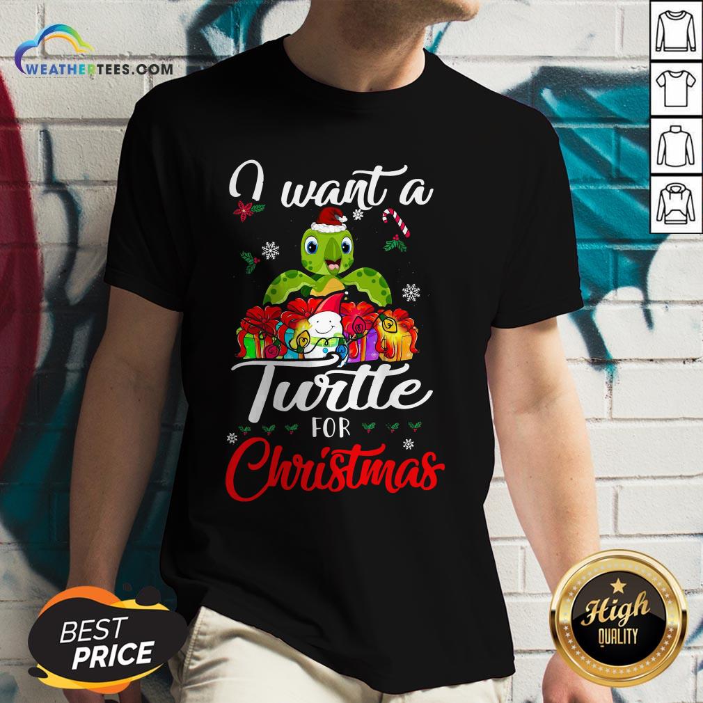 Tech I Want A Turtle For Christmas Shirt
