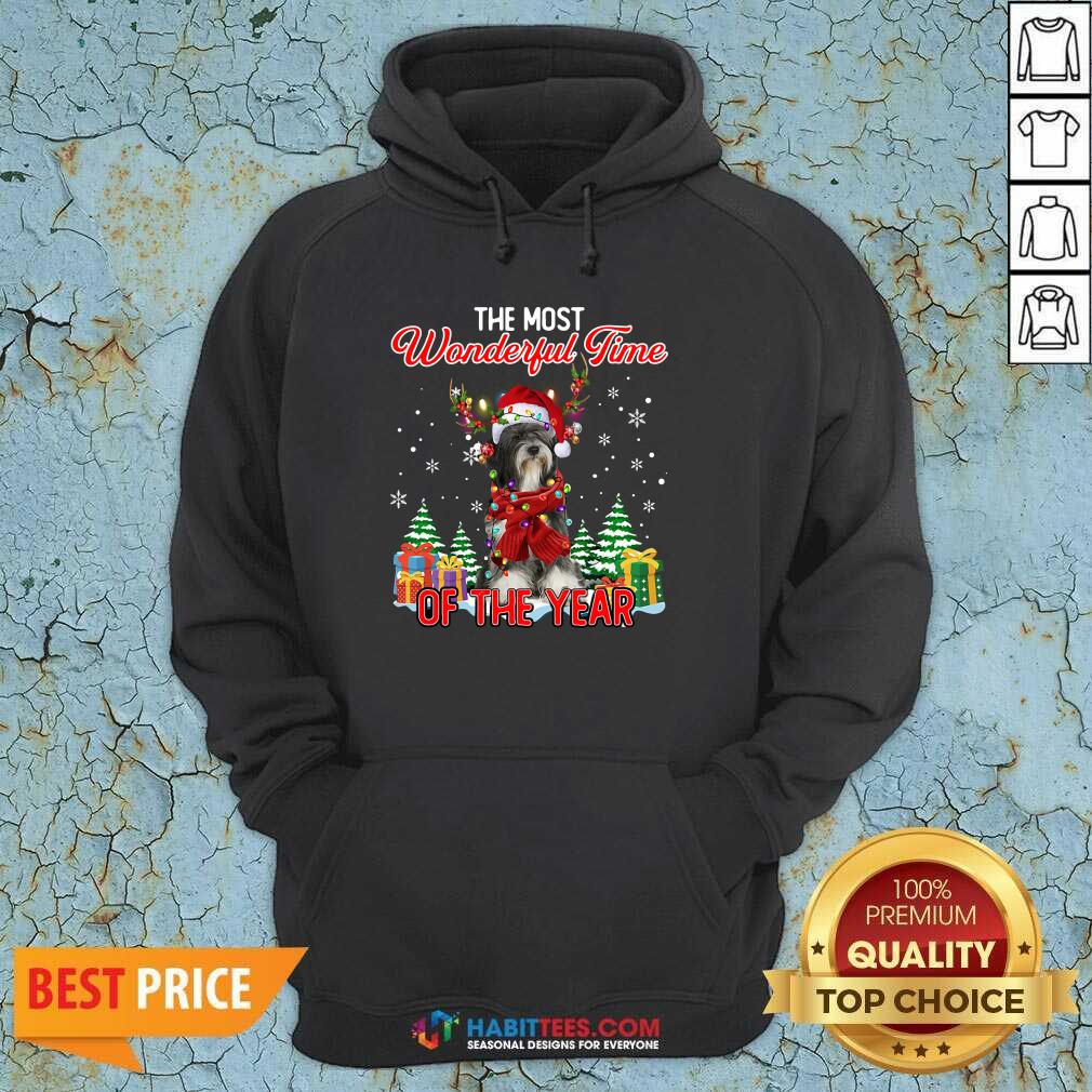 Tibetan Terrier The Most Wonderful Time Of The Year Ugly Christmas Shirt