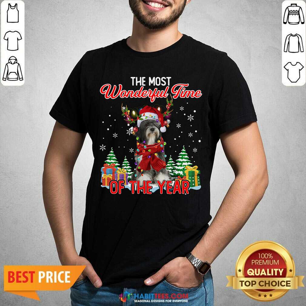 Tibetan Terrier The Most Wonderful Time Of The Year Ugly Christmas Shirt