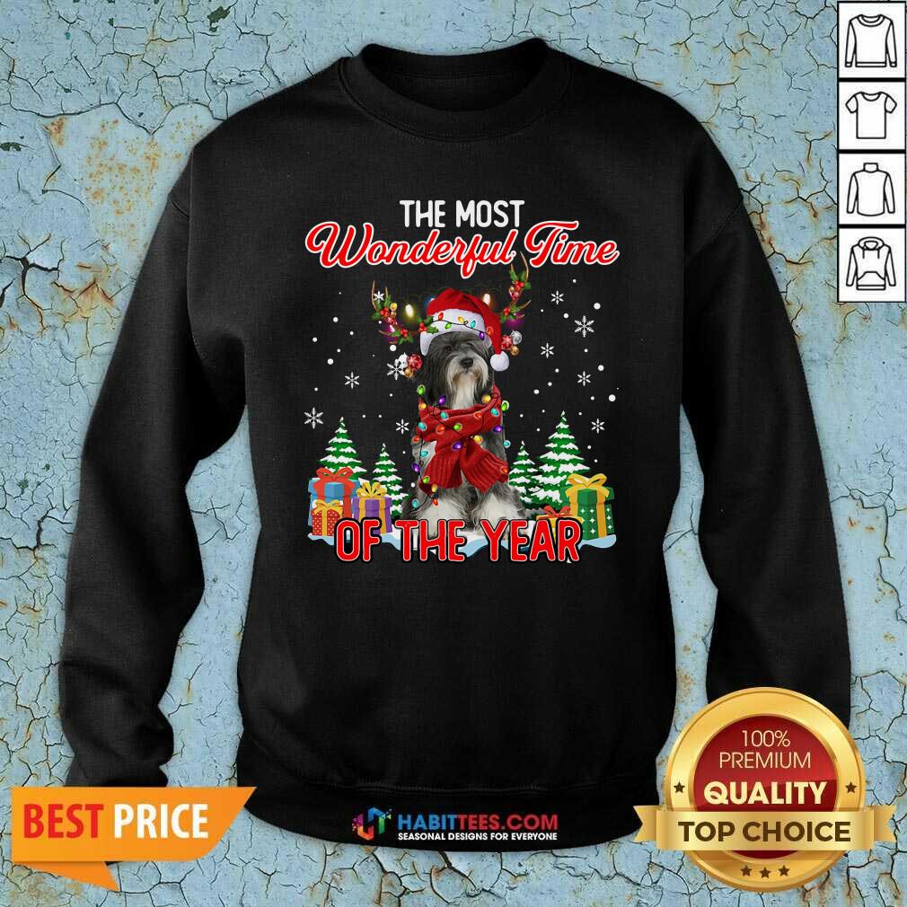 Tibetan Terrier The Most Wonderful Time Of The Year Ugly Christmas Shirt