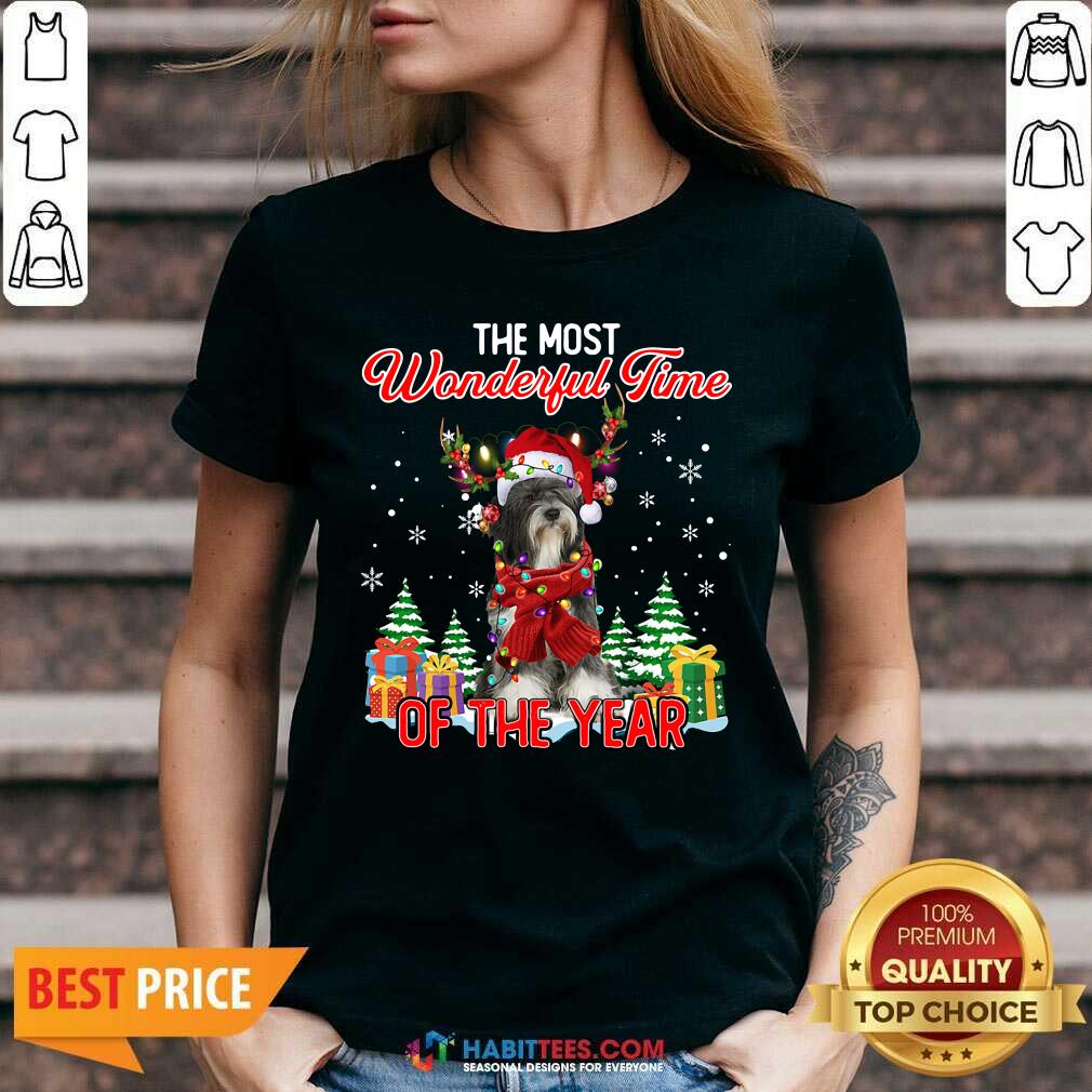 Tibetan Terrier The Most Wonderful Time Of The Year Ugly Christmas Shirt