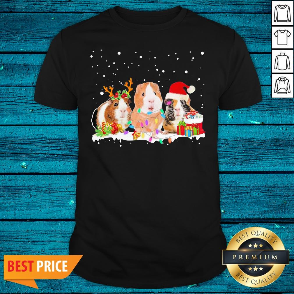 Top Guinea Pig Christmas Light Shirt