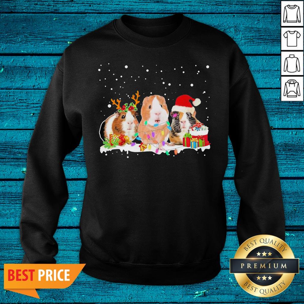 Top Guinea Pig Christmas Light Shirt