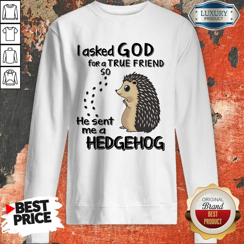 Top I Asked God A True Friend He Sent A Hedgehog Shirt