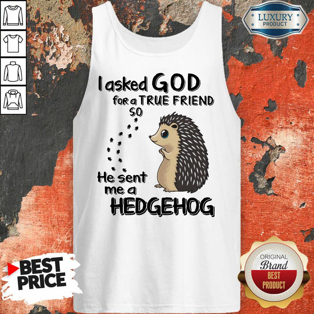 Top I Asked God A True Friend He Sent A Hedgehog Shirt